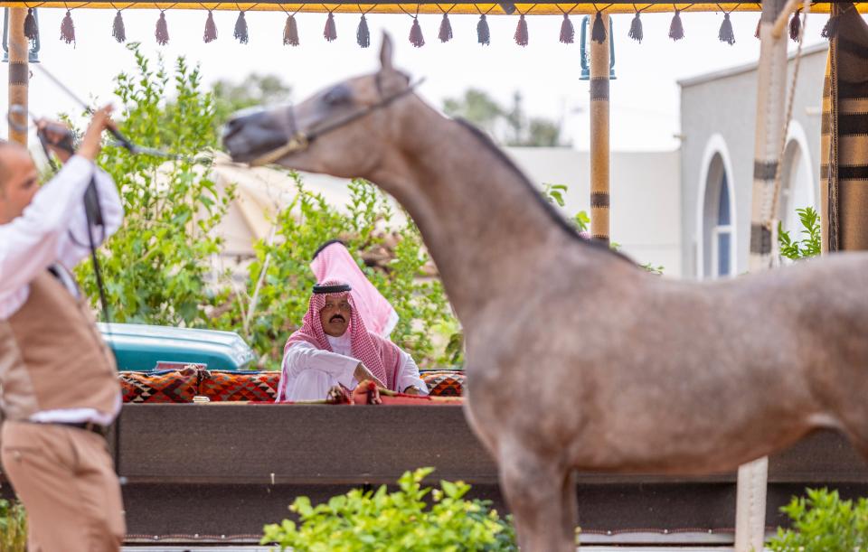 أمير منطقة حائل يزور أول أكاديمية ومربط مرخص من الاتحاد السعودي للفروسية بالمنطقة
