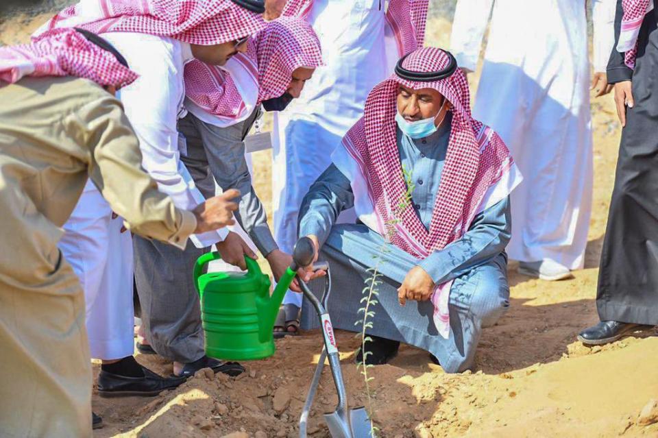 دشن سعاده محافظ بقعاء المكلف حملة التشجير بمحافظه بقعاء