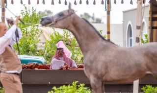 أمير منطقة حائل يزور أول أكاديمية ومربط مرخص من الاتحاد السعودي للفروسية بالمنطقة