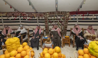 أمير منطقة حائل يدشّن مهرجان حمضيات حائل 2024